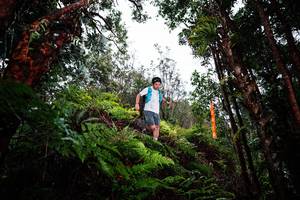 BIB: 
                            <button type="button" onclick="openModal(26205183)" class="btn btn-primary btn-sm float-right btn-popup" data-toggle="modal" data-target=".modal-high-quality">
                        <i class="fas fa-shopping-cart"></i> Add to Cart
                    </button>
                                            <button type="button" onclick="isThisMe(26205183, true)" class="btn btn-success btn-sm float-right btn-popup btn-isme hidden" data-toggle="tooltip" data-placement="bottom" title="นี่คือรูปของคุณใช่ไหม คลิกที่นี่เพื่อเอาเข้าอัลบั้ม">
                        <i class="fas fa-plus"></i> Add to album
                    </button>
                    <button type="button" onclick="isThisMe(26205183, false)" class="btn btn-warning btn-sm float-right btn-popup btn-isnotme hidden">
                        <i class="fas fa-ban"></i> Remove from album
                    </button>